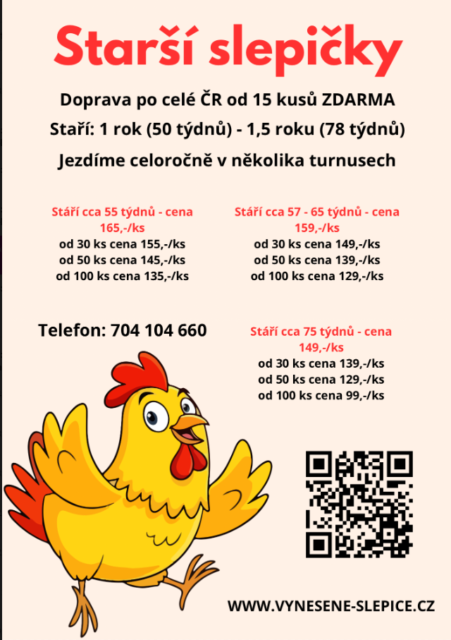 kuřice