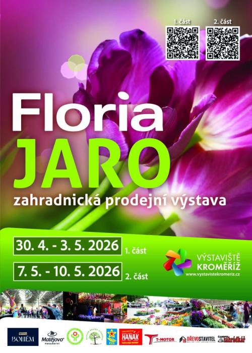 výstava