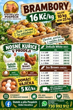 statek a pila Pospěch